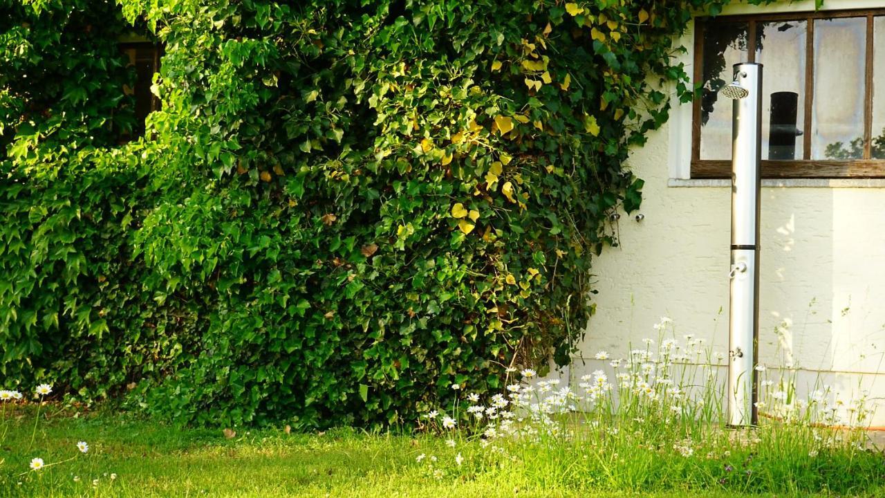 Holzchalet Kirchanschoring Exterior foto